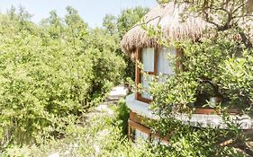 Mamasan Treehouses & Cabins